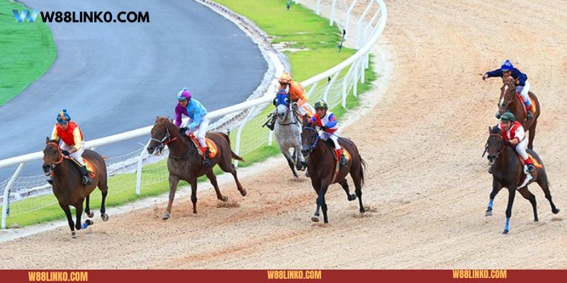 Mẹo Cá Cược Đua Ngựa 188BET Từ Các Cao Thủ Chuyên Nghiệp Các loại kèo cá cược trong môn đua ngựa