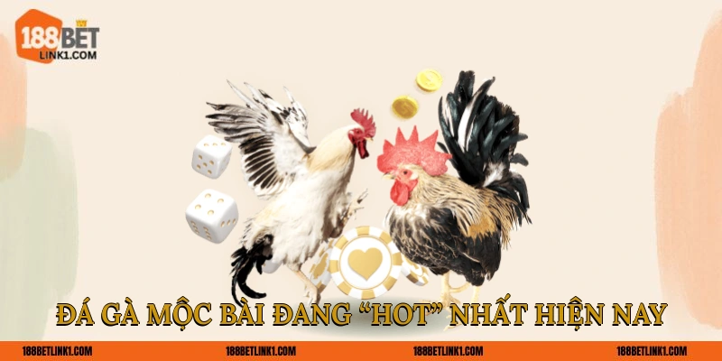 Đá Gà Mộc Bài 188BET Dễ Thắng Cho Tân Thủ Tham Khảo Đá gà Mộc Bài đang “hot” nhất hiện nay
